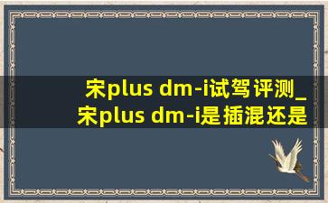 宋plus dm-i试驾评测_宋plus dm-i是插混还是增程